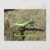 はがき – 祈's Mantis (正面)