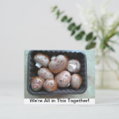 はがき – 私たちは一緒に一緒に来ている – キノコ (スタンド正面)