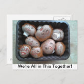 はがき – 私たちは一緒に一緒に来ている – キノコ (正面/裏面)