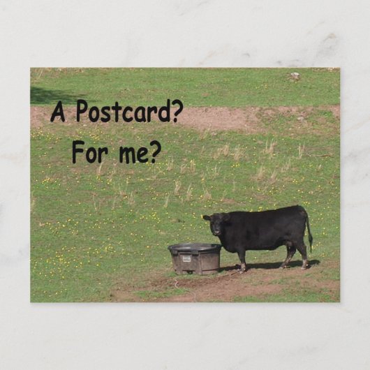はがき?私のために? ポストカード (正面)