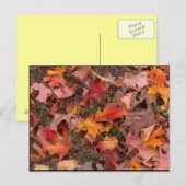 はがき/秋 ポストカード (正面/裏面)