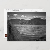 はがき～緑の（昆虫）オオカバマダラ、モナークレイクペンドオレイユ沿い ポストカード (正面/裏面)