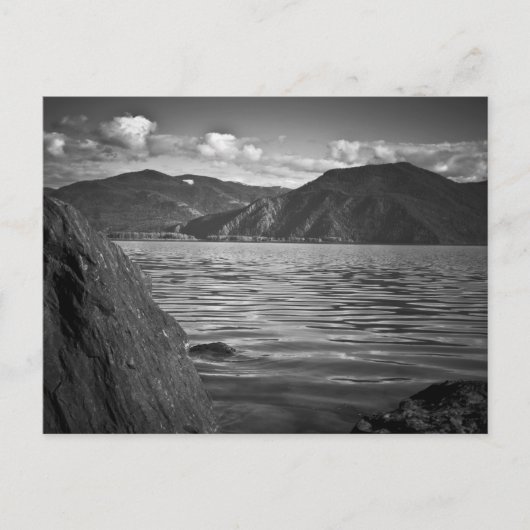 はがき～緑の（昆虫）オオカバマダラ、モナークレイクペンドオレイユ沿い ポストカード (正面)