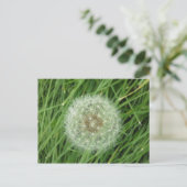 はがき – 自然画像 (スタンド正面)