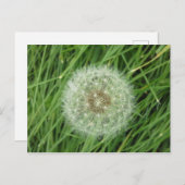 はがき – 自然画像 (正面/裏面)