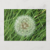 はがき – 自然画像 (正面)