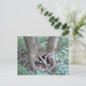 はがき – 自然画像 (スタンド正面)