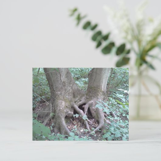 はがき – 自然画像 (スタンド正面)