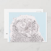 はがき – 色に合わせる (正面/裏面)