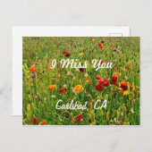 はがき:花畑、カールスバッド、カリフォルニア州 シーズンポストカード (正面/裏面)