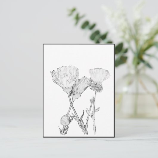 はがき – 花 – 色 (スタンド正面)