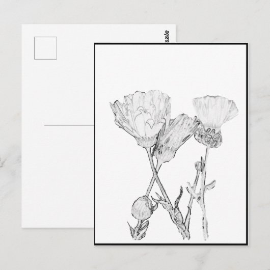 はがき – 花 – 色 (正面/裏面)