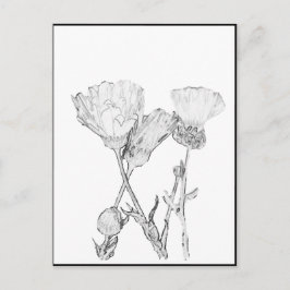 はがき – 花 – 色