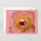 はがき – 花–10 (正面/裏面)