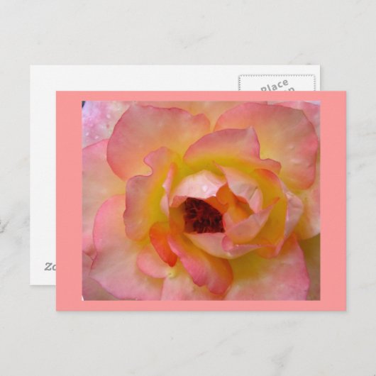 はがき – 花–10 (正面/裏面)