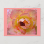 はがき – 花–10 (正面)