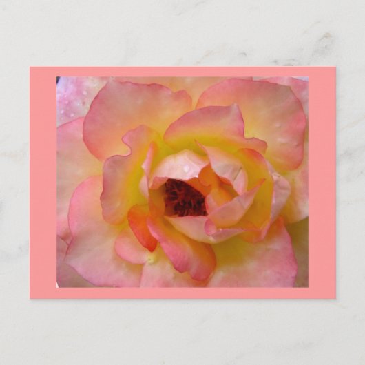 はがき – 花–10 (正面)