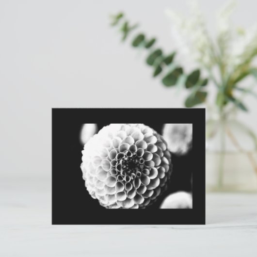 はがき – 花–51 (スタンド正面)