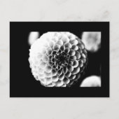 はがき – 花–51 (正面)