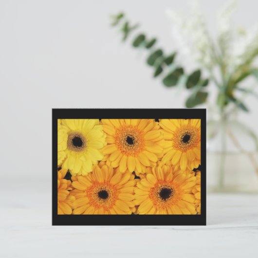 はがき – 花–6 (スタンド正面)