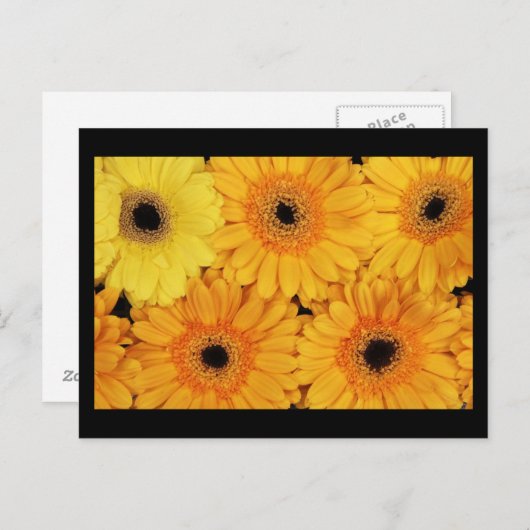 はがき – 花–6 (正面/裏面)