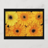 はがき – 花–6 (正面)