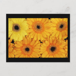 はがき – 花–6