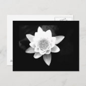 はがき – 花–63 (正面/裏面)