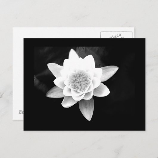 はがき – 花–63 (正面/裏面)