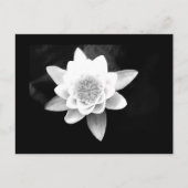 はがき – 花–63 (正面)