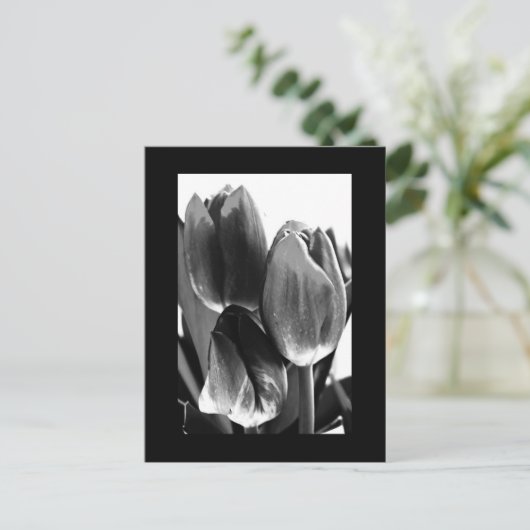 はがき – 花–64 (スタンド正面)