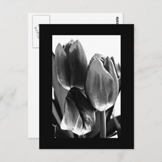 はがき – 花–64 (正面/裏面)