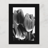 はがき – 花–64 (正面)