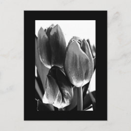 はがき – 花–64