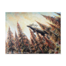 はがき – 跳ね上がる鹿