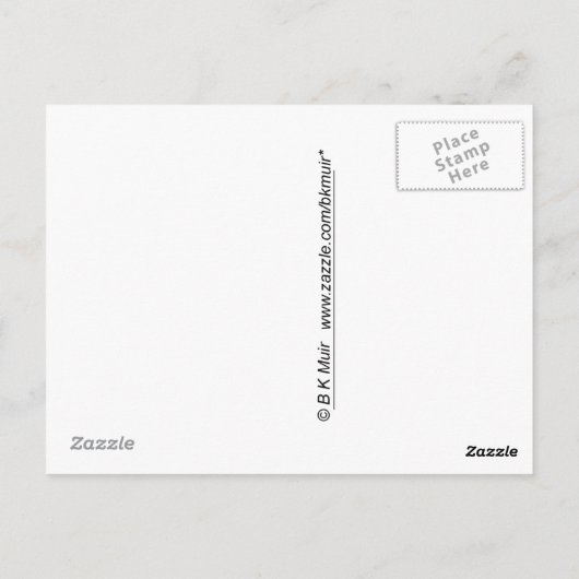 はがき – 離島ボート (裏面)