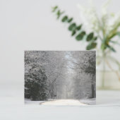 はがき、雪のシーン高解像度の写真 ポストカード (スタンド正面)