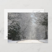 はがき、雪のシーン高解像度の写真 ポストカード (正面/裏面)