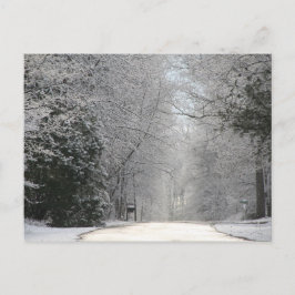 はがき、雪のシーン高解像度の写真 ポストカード