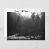 はがき-霧の多いサケ川、オレゴン ポストカード (正面/裏面)