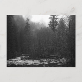はがき-霧の多いサケ川、オレゴン ポストカード
