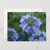 はがき – 青い花 (正面/裏面)