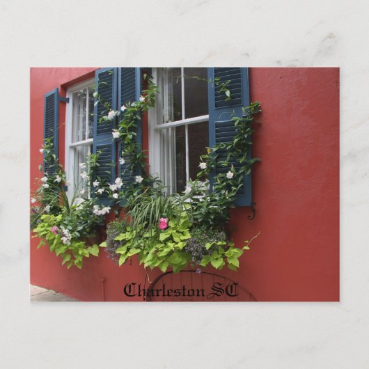 はがき、高精細フォトグラフィーCharleston SC ポストカード (正面)