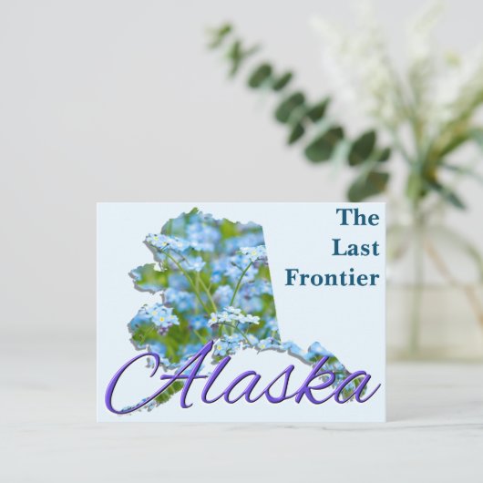 はがき – ALASKA (スタンド正面)