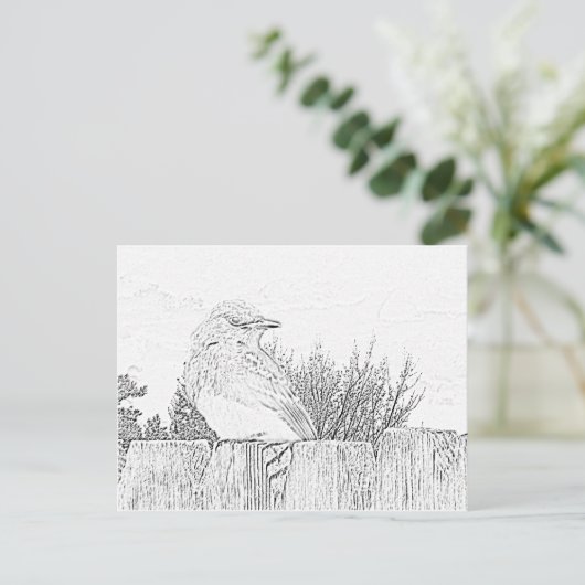 はがき – Bird on Fence to Color (スタンド正面)