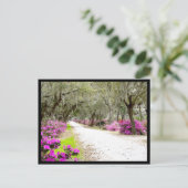 はがき – Bonaventure Azaleas (スタンド正面)