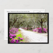 はがき – Bonaventure Azaleas (正面/裏面)