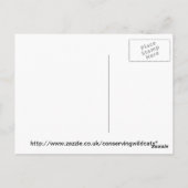 はがき – caracal (裏面)