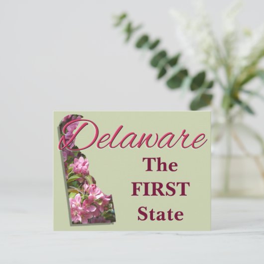 はがき – DELAWARE (スタンド正面)