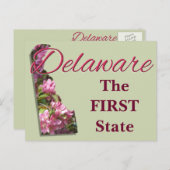 はがき – DELAWARE (正面/裏面)